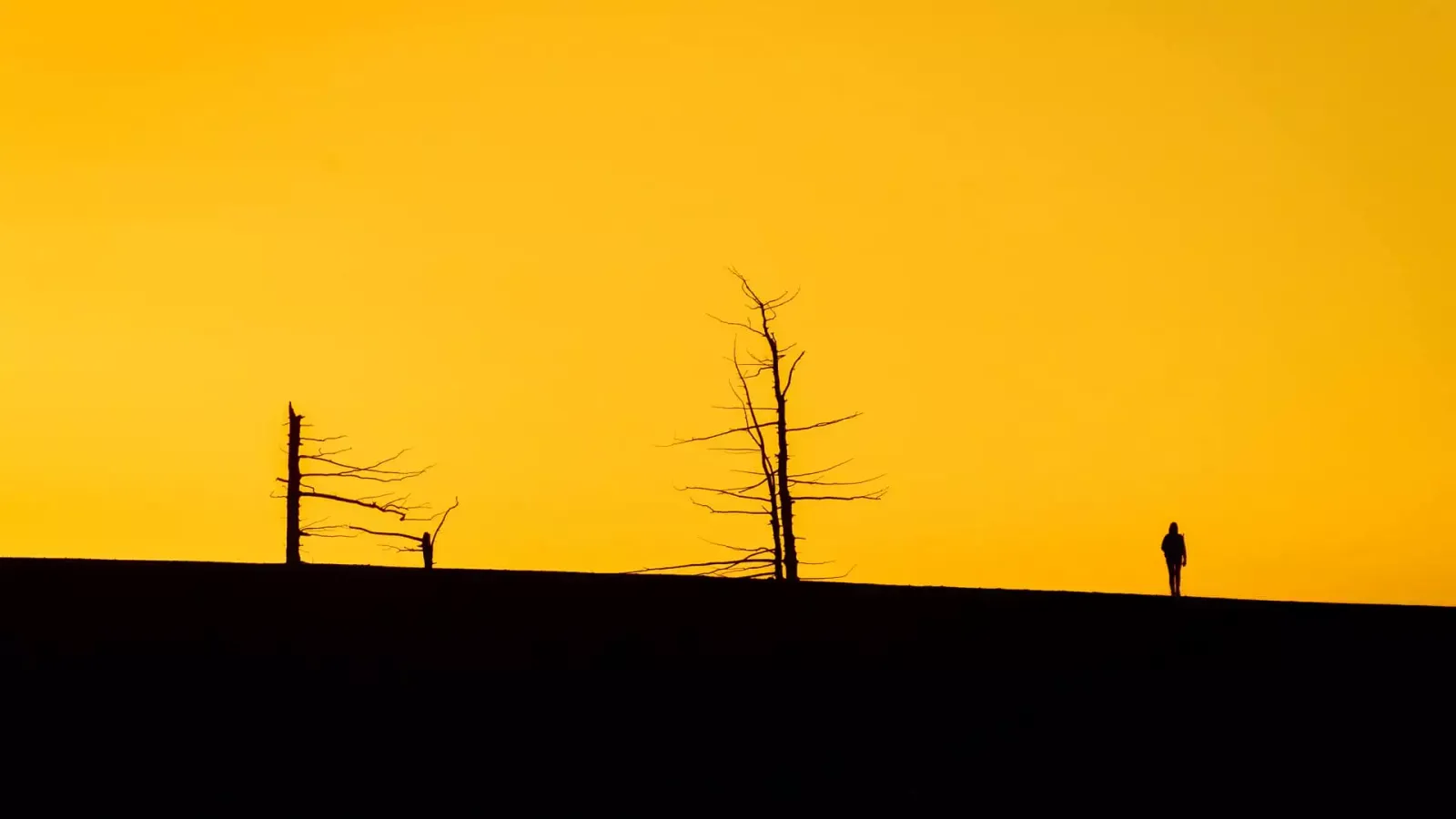 Landscape photo showing the rule of thirds