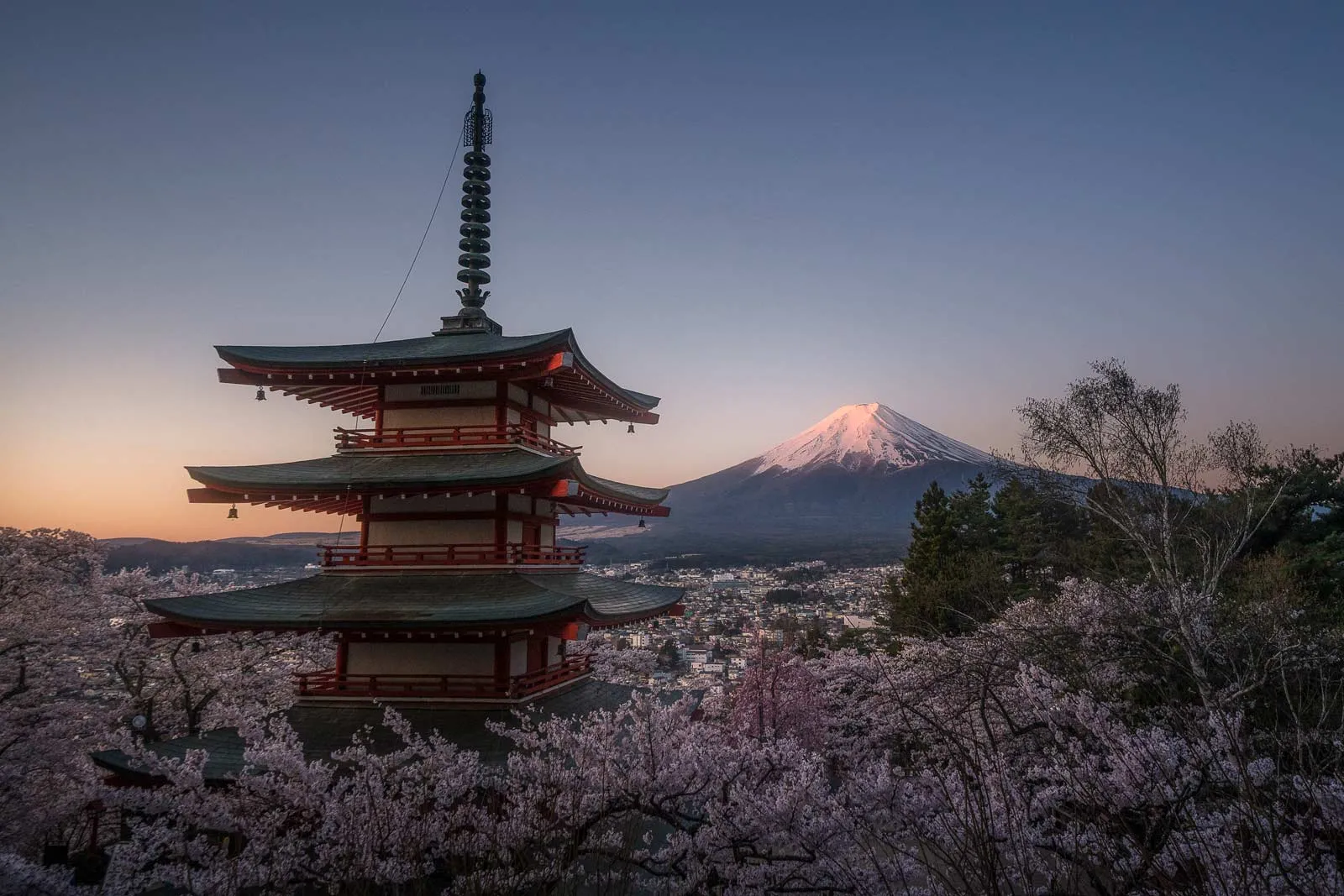 Chureito pagoda and Mount Fuji with cherry blossoms