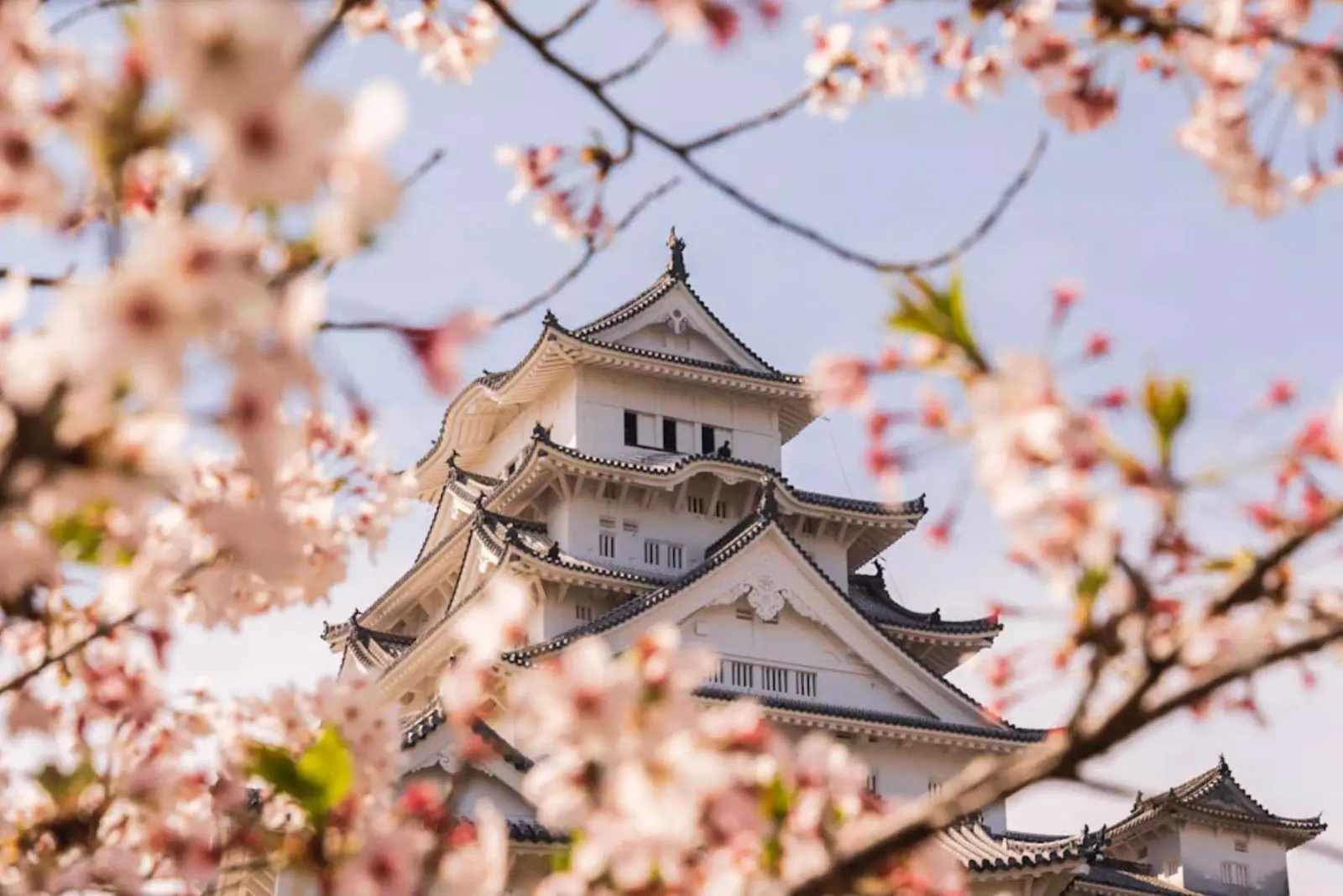 Hikone castle in Japan