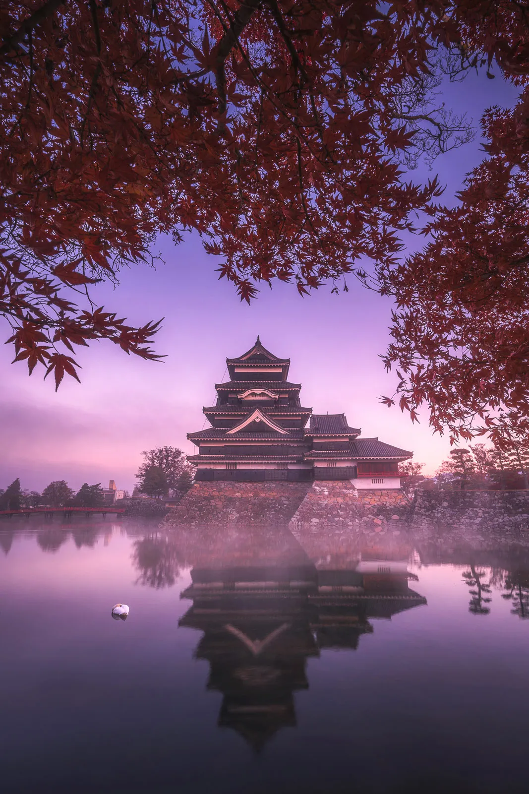 Autumn momiji colours in Japan
