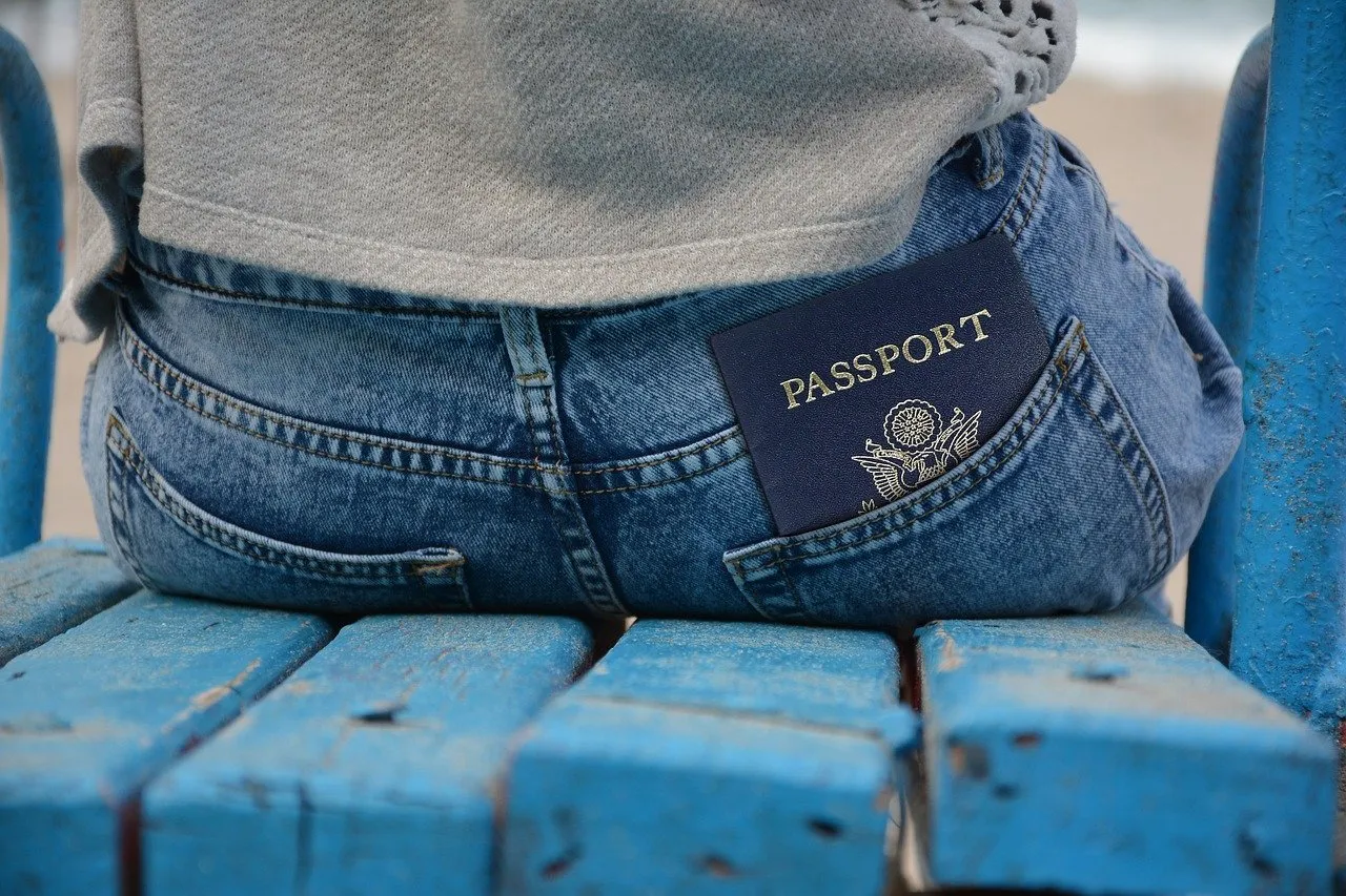 Passport for travelling to Iceland