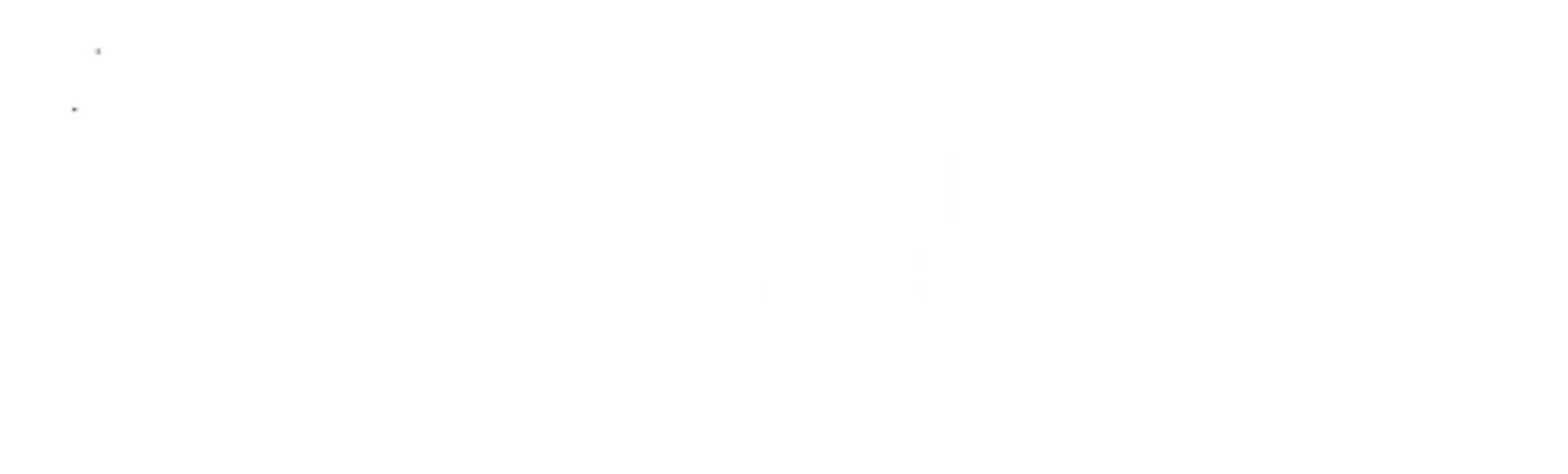 Logo de los guantes de fotografía Vallerret