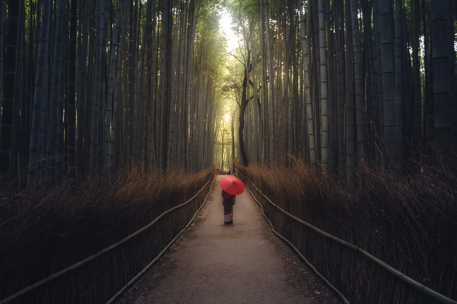 Arashiyama geisha