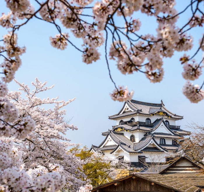 Hikone_viaje_fotografico_Japon