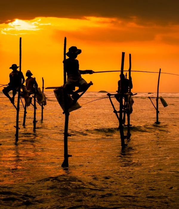 fishermen on stilts, Sri Lanka