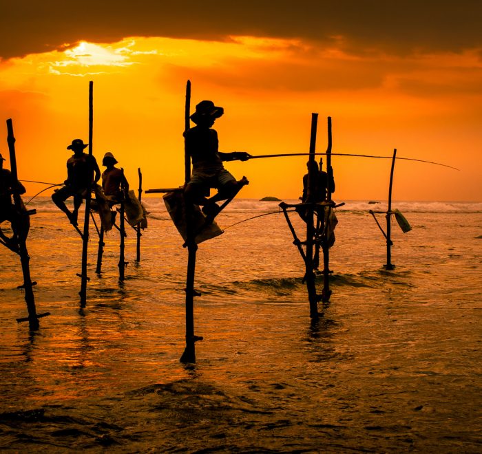 Pescadores en palos, Sri Lanka