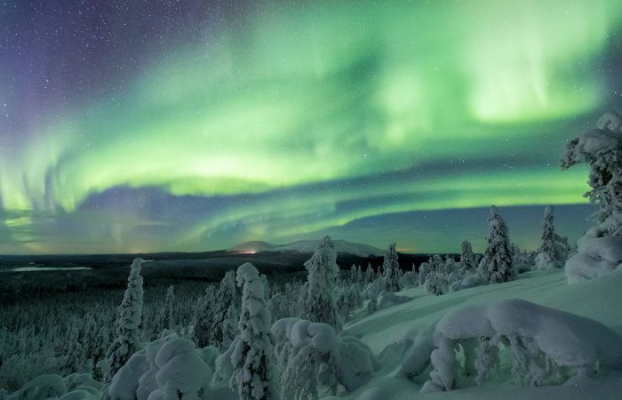 Lapland Photo Tour experience in February with photographer guides