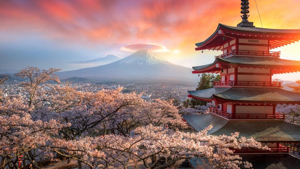 Que ver en Japón durante la floración del cerezo