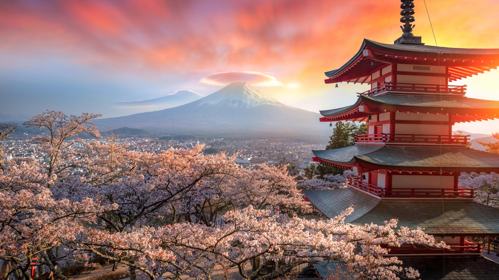 Japan Spring Photo Tour 2024 ⛩️ Sakura Cherry Blossom