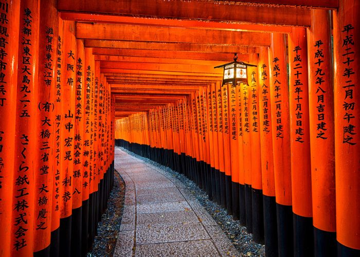 Japan Photo Tour in Fushimi Inari