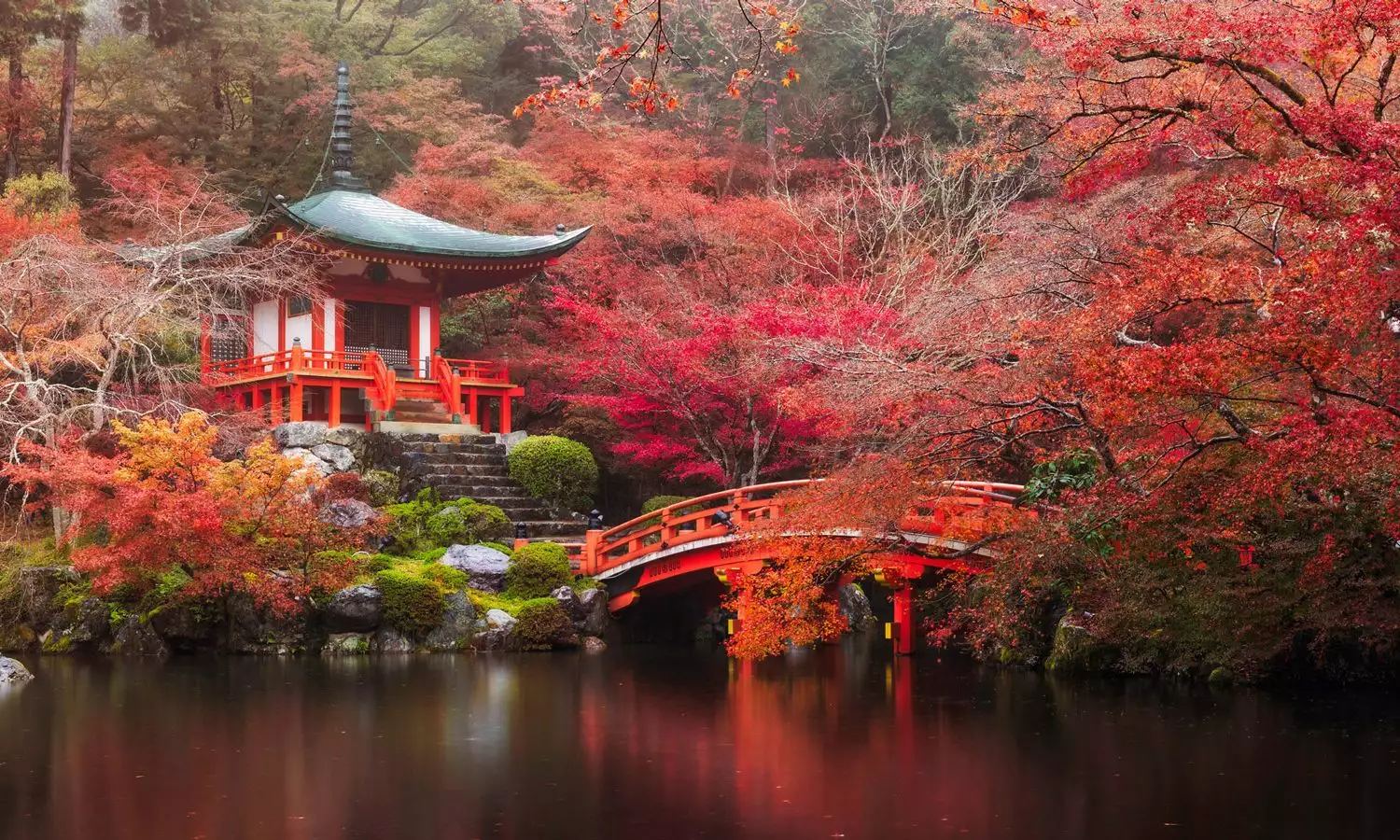 Kyoto Temple, Autumn in Japan