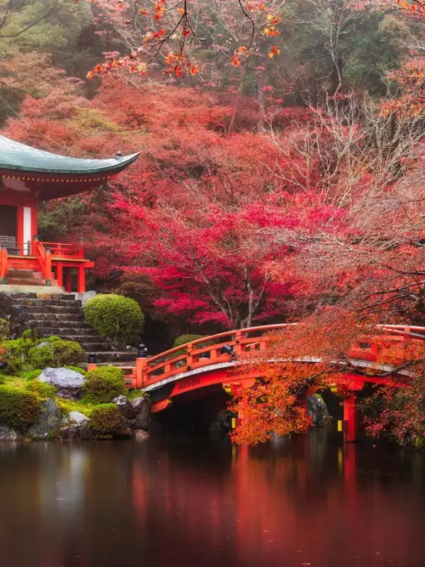 Kyoto Temple, Autumn in Japan