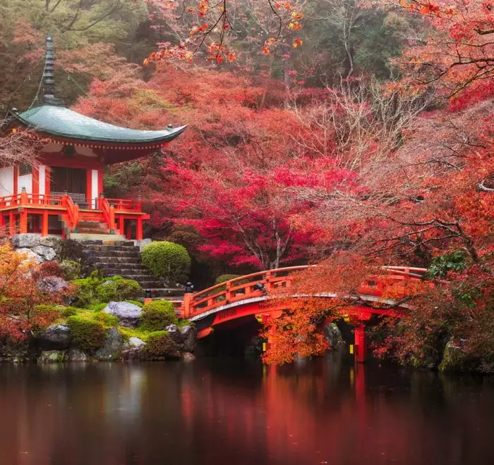 Templo de Kyoto, otoño en Japón