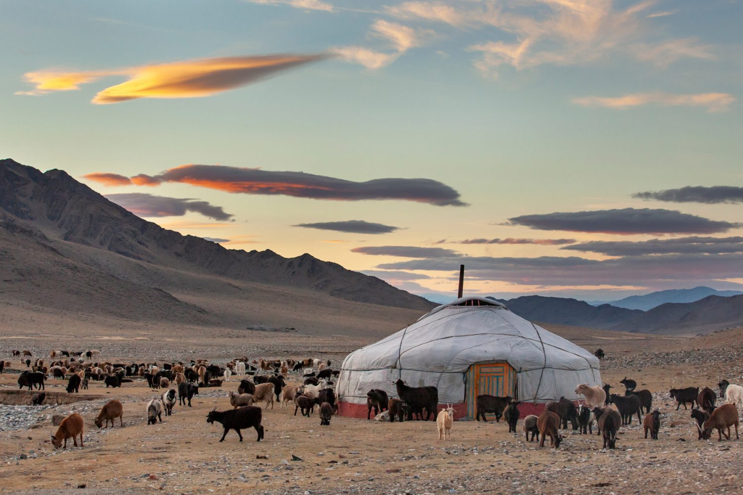 Campamento nomada en las montañas de Mongolia