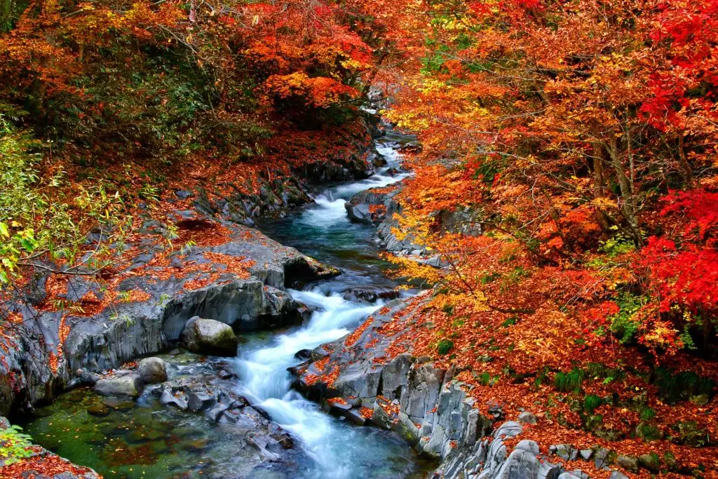 autumn Japan photo tour