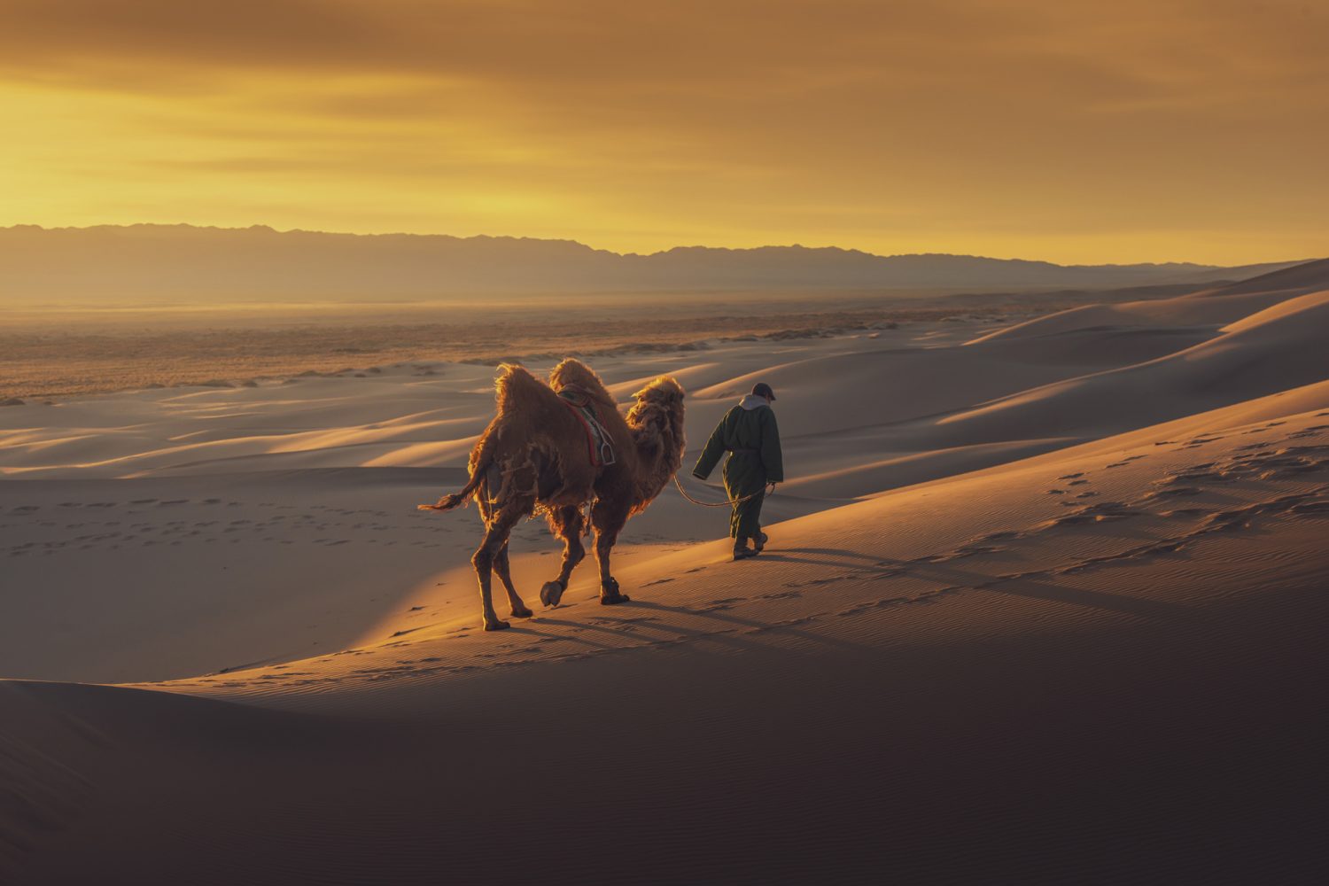 Viaje para aficionados a la fotografia al desierto del Gobi