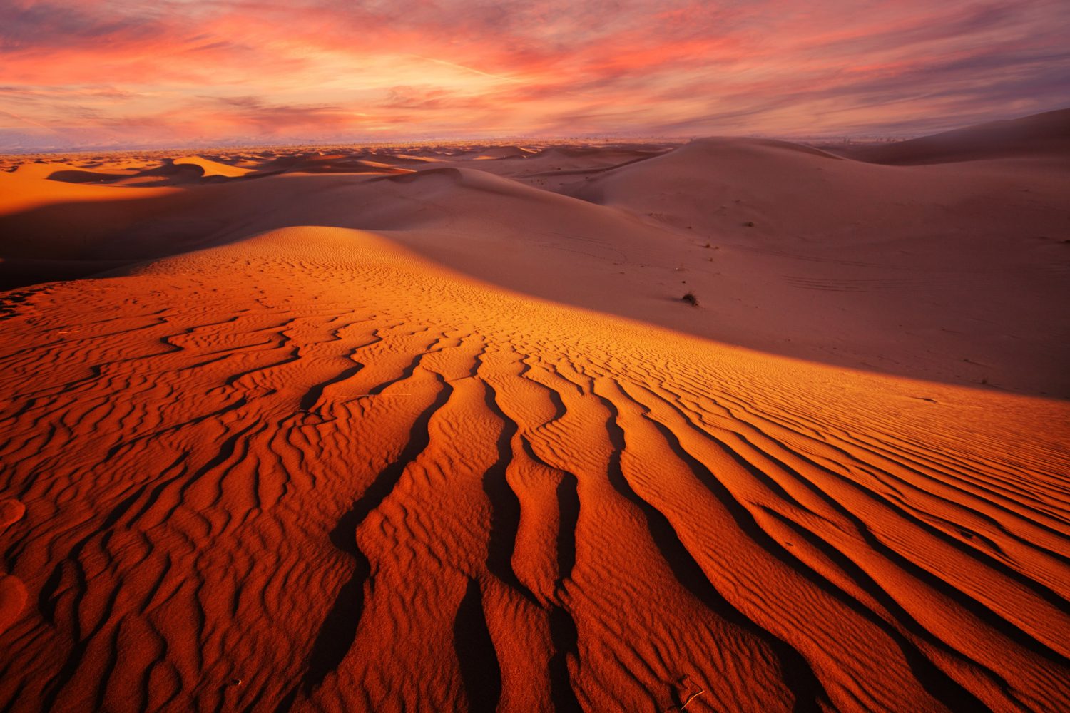 photo tour gobi desert