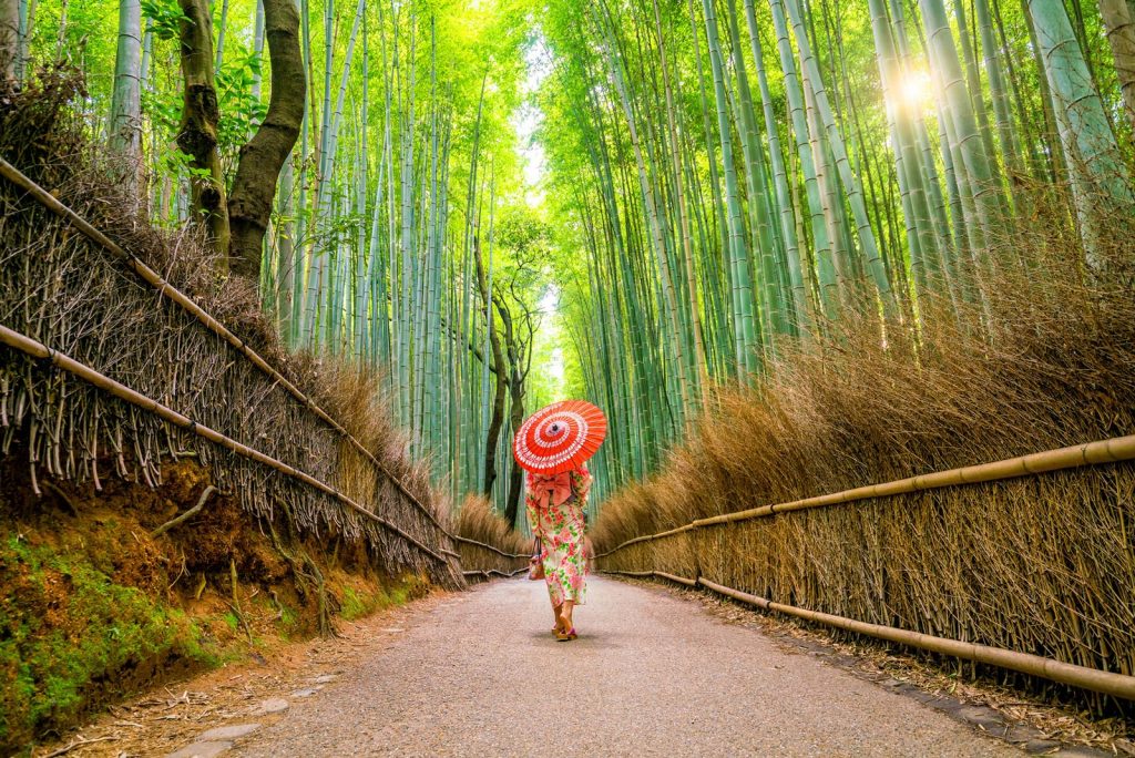 Viaje Fotográfico a Japón