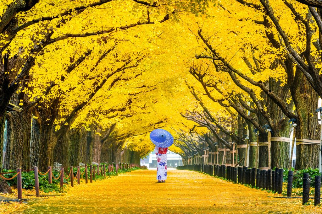 viaje fotografico a Tokyo en otoño