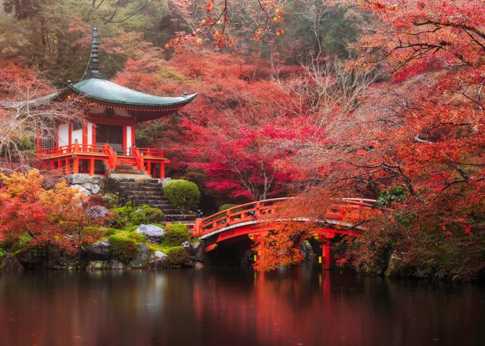 JAPAN autumn photo tour