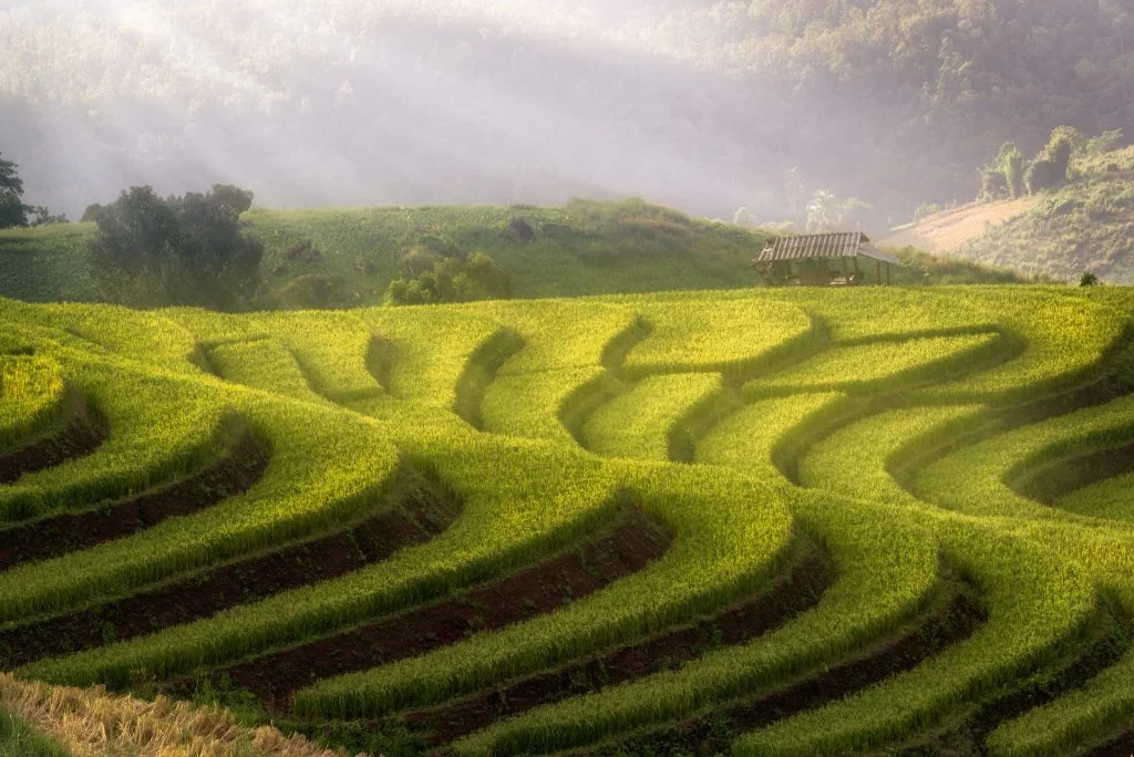 Chinese Landscapes 3 Longji_china photo tour
