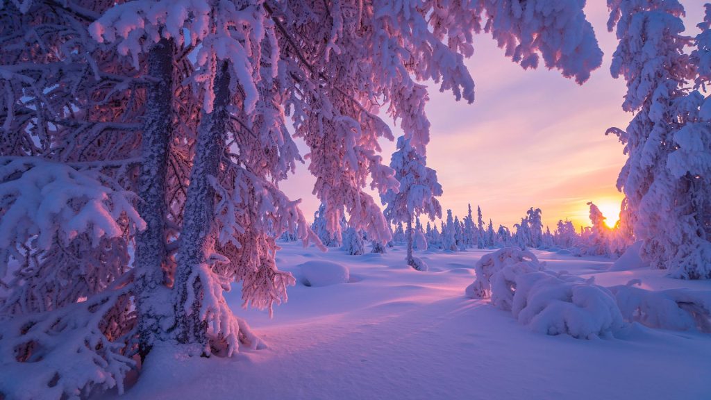 viaje fotografico por la laponia rusa en invierno