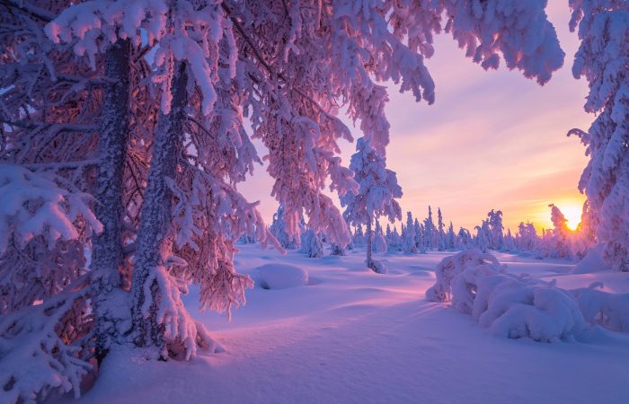 viaje fotografico por la laponia rusa en invierno