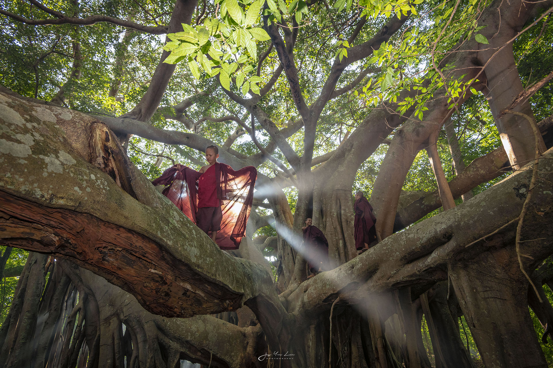 Taller de fotografía en banyan tree pindaya, Myanmar