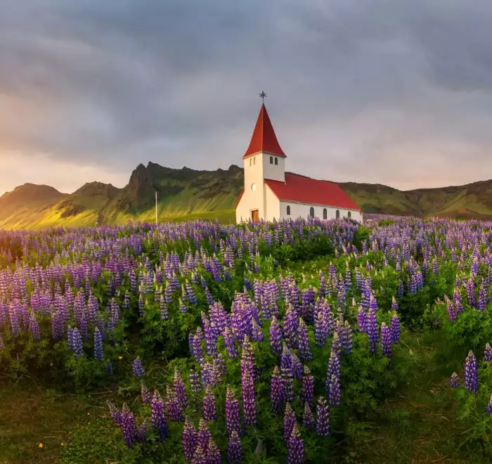 Iceland Photo Tour during summer