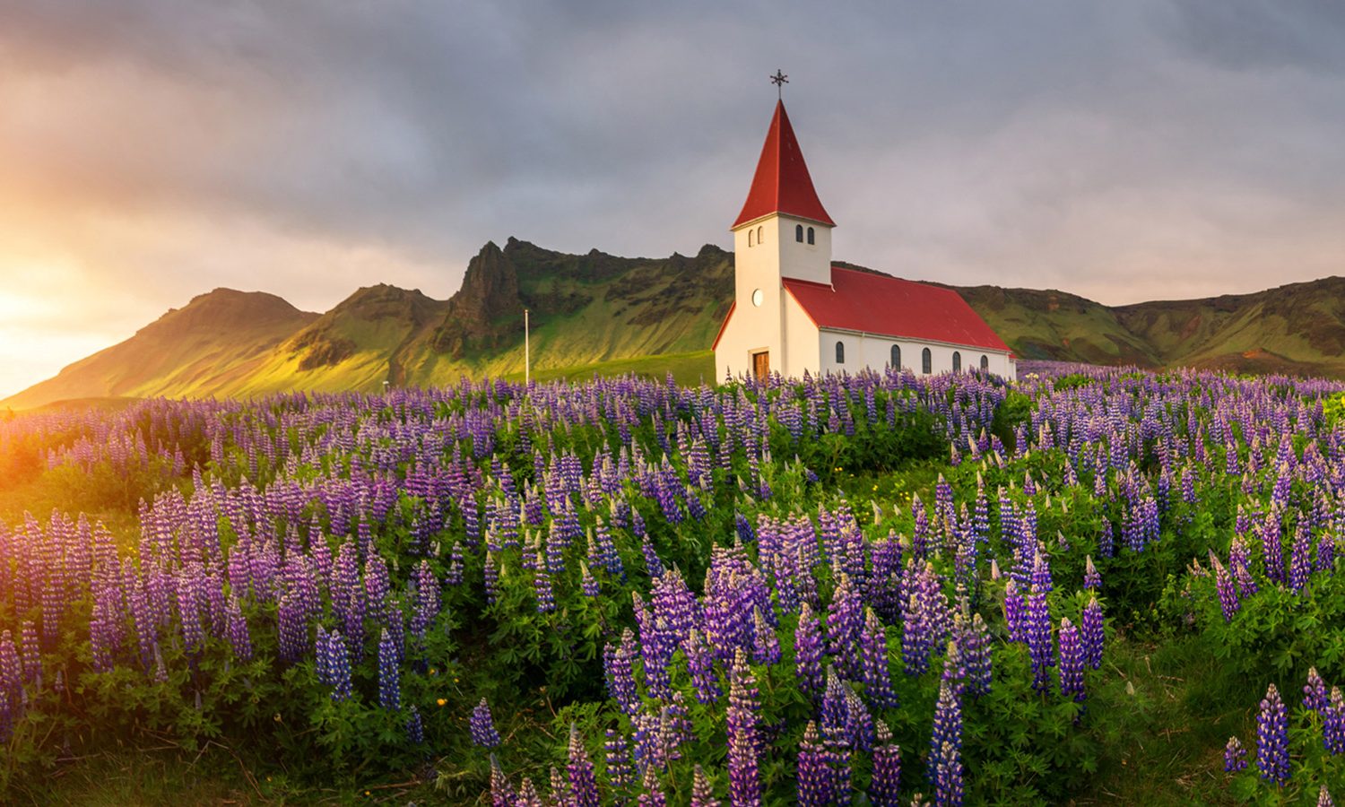 Iceland Photo Tour: Ring road during summer
