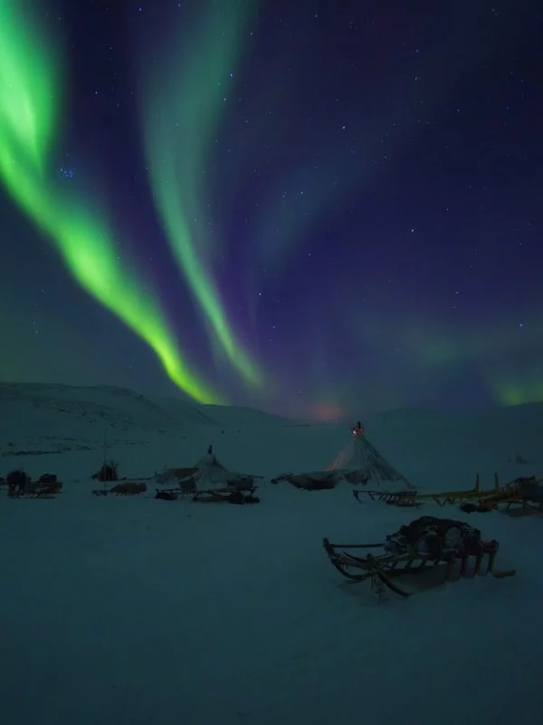 yamal expedition