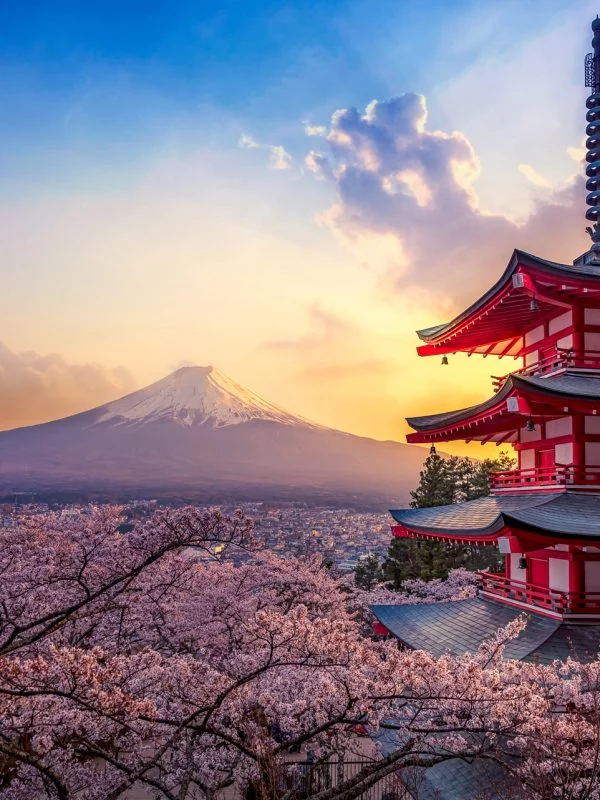 Chureito Pagoda & Fuji in Spring, Japan