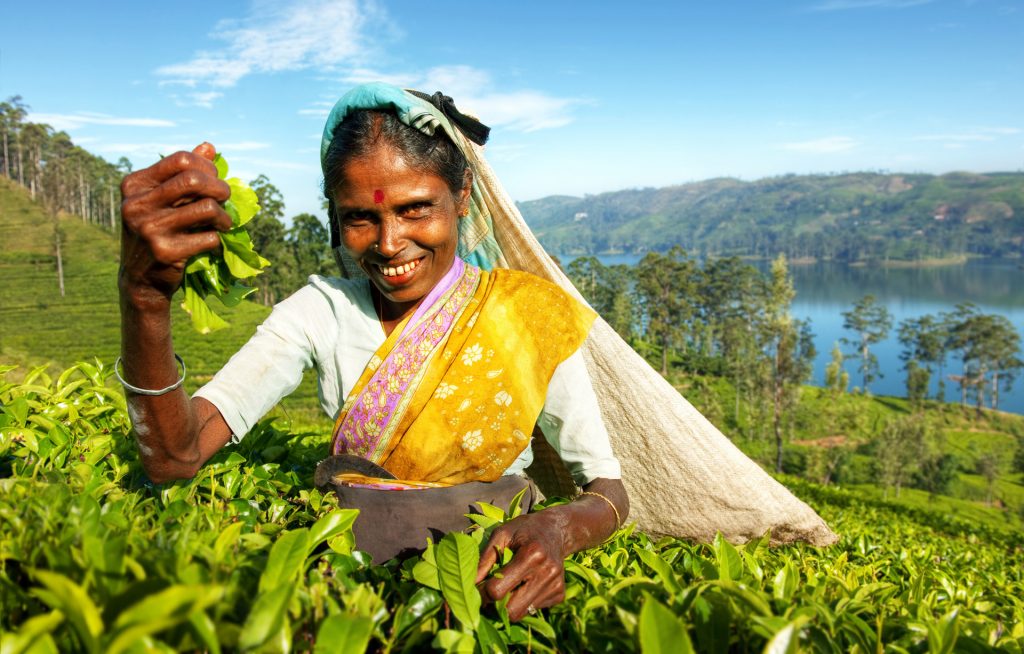 retrato fotografico de trabajadora de te en Sri Lanka