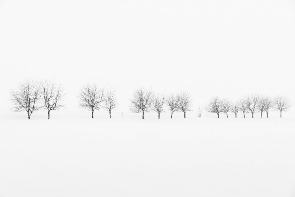 Viaje Fotografico Hokkaido