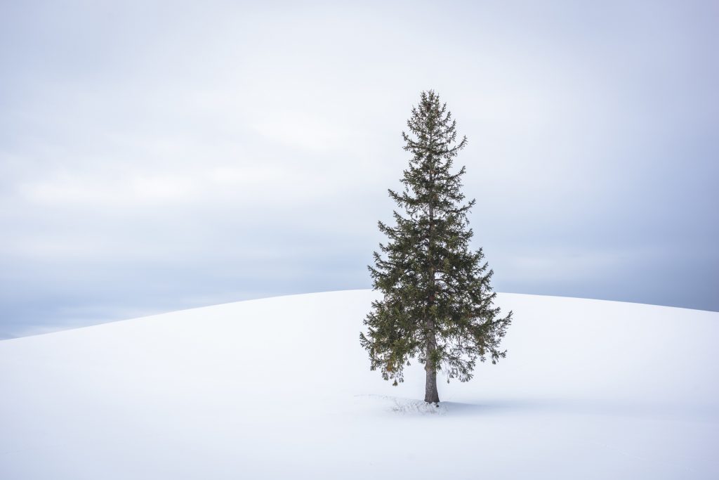 Hokkaido-photography-workshop