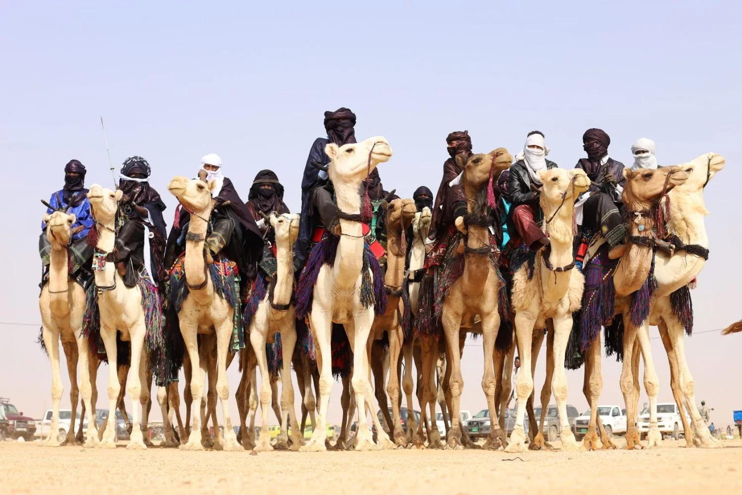 camel niger travel