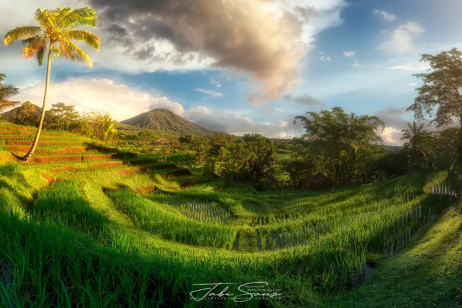 viaje fotografico campos de arroz de Indonesia
