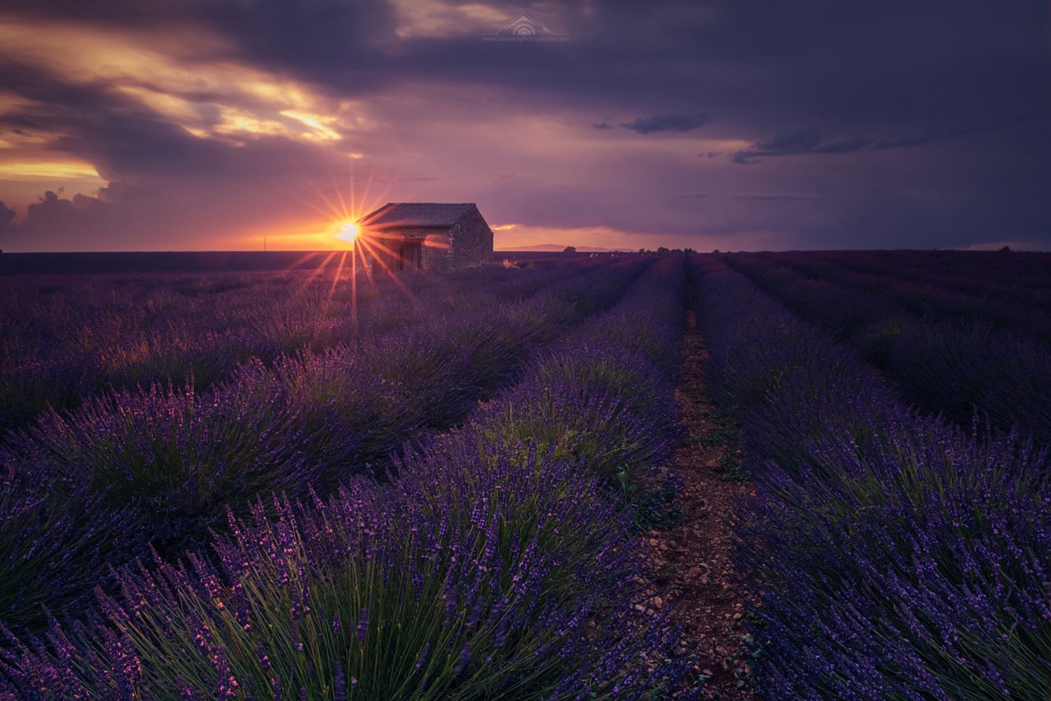 Provence-Lavender-Photo-Tour-sunset