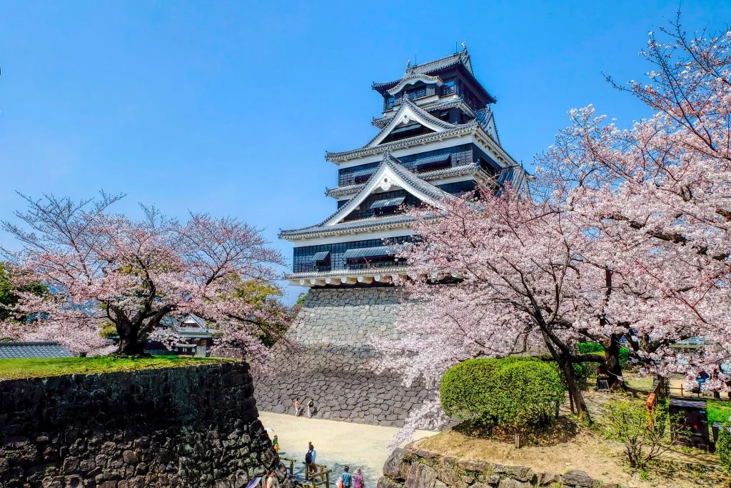 kumamoto castle sakura best places