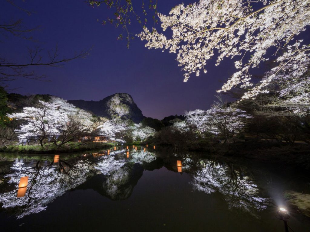 Mifuneyama Rakuen Park during sakura