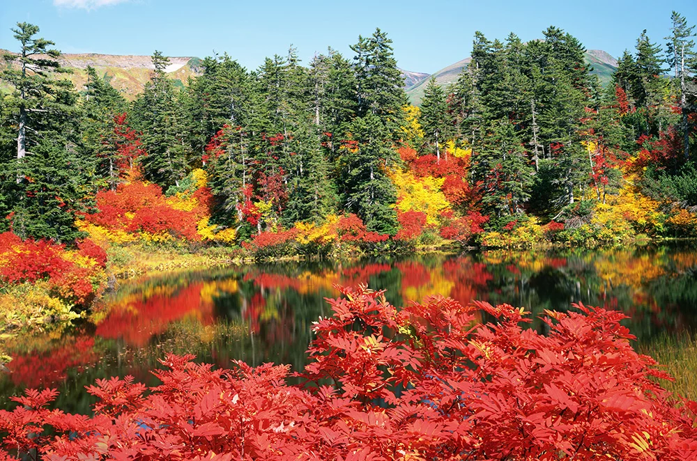 mejores lugares para ver el otoño en Japón