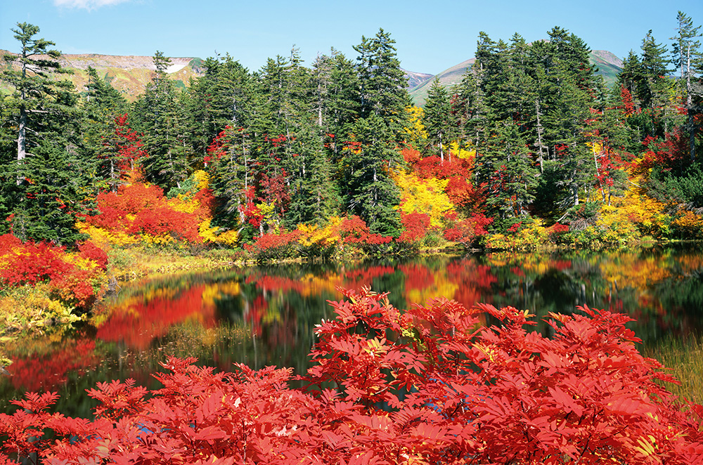 mejores lugares para ver el otoño en Japón