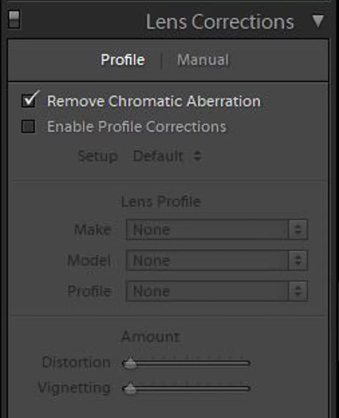Profile Lens Correction panel in Adobe Lightroom