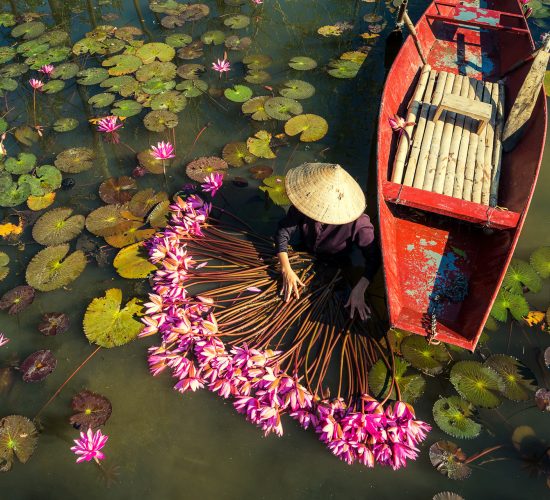 flor de lili en rio yen durante un taller de fotografia en vietnam