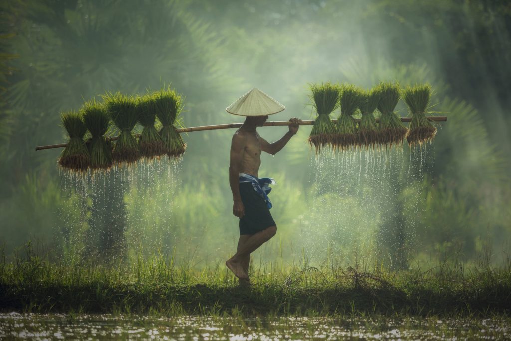 retrato en un viaje fotografico a vietnam