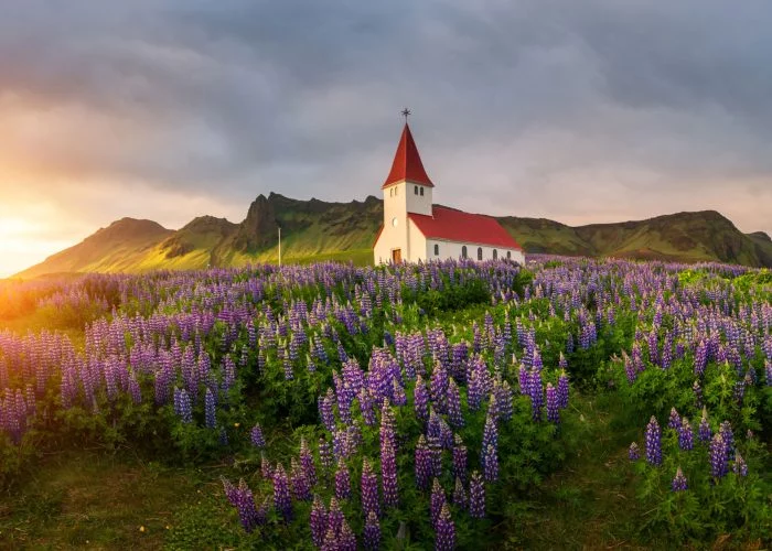 Photos Iceland in Summer