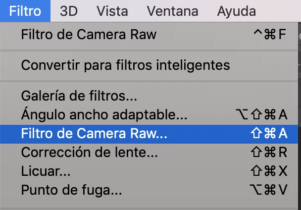 Seleccionar Filtro de Camera Raw en Photoshop