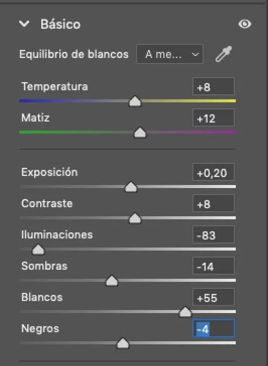 Camera Raw Basic Panel