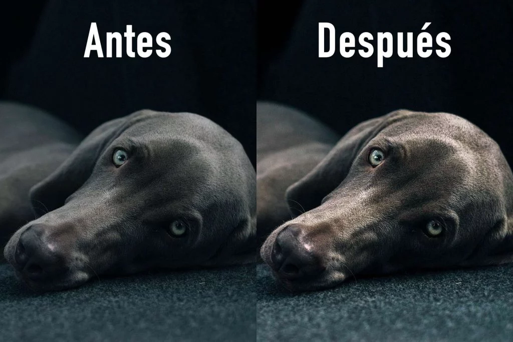 Antes y Después de ajustar el color y la luz en una foto en Photoshop