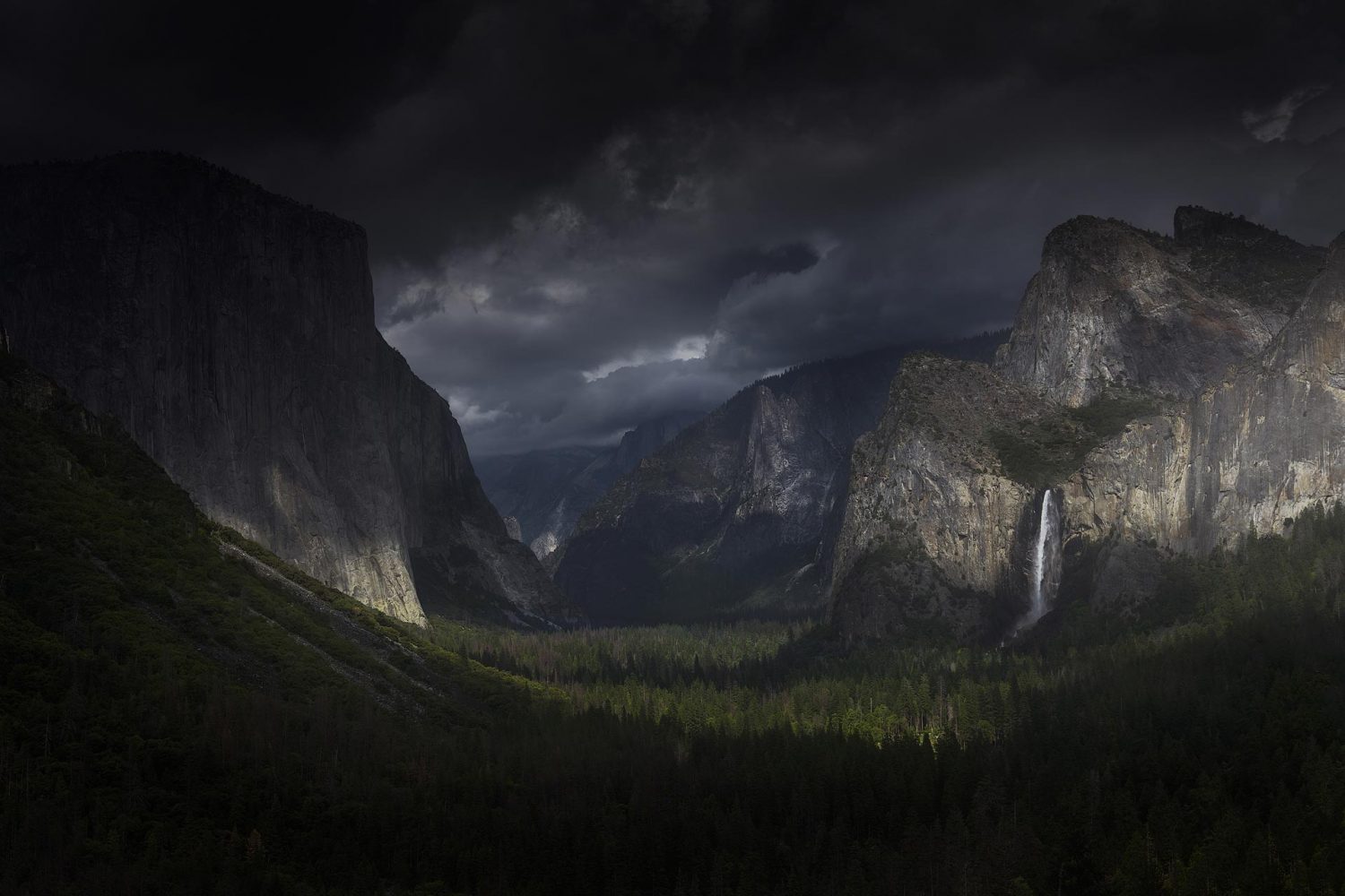 Best Yosemite Photography Workshop